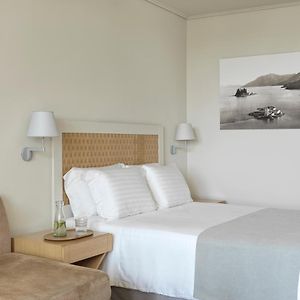 Pokój typu standard z łóżkiem king-size